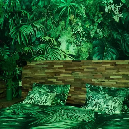 Apartman Jungle