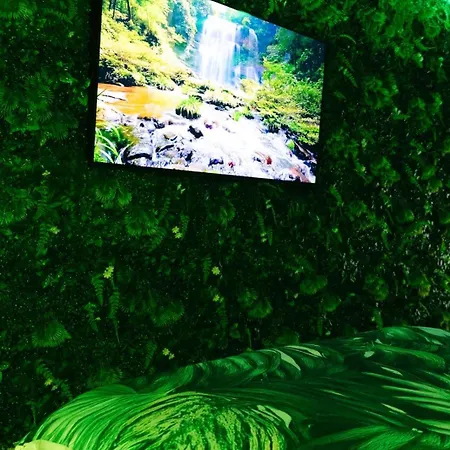 Jungle * Perpiñán