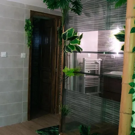 Apartman Jungle