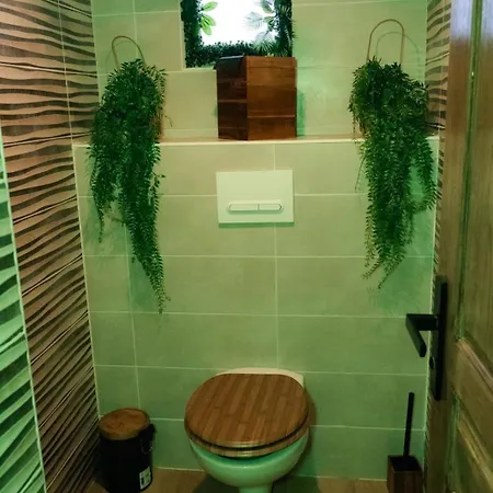 Apartment Jungle