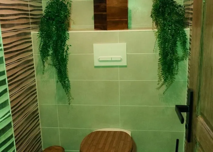 Διαμέρισμα Jungle